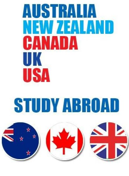banner-image